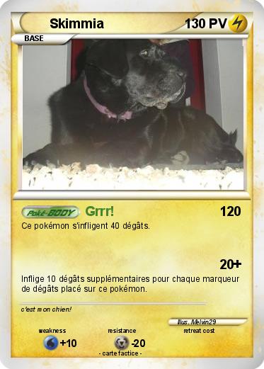 Pokemon Skimmia