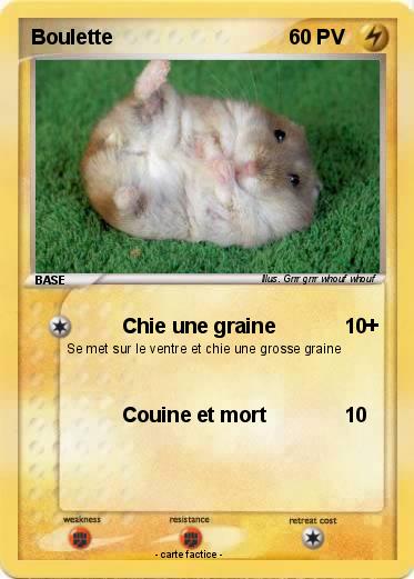 Pokemon Boulette