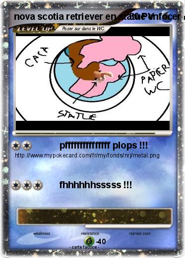 Pokemon nova scotia retriever en statue enfocer