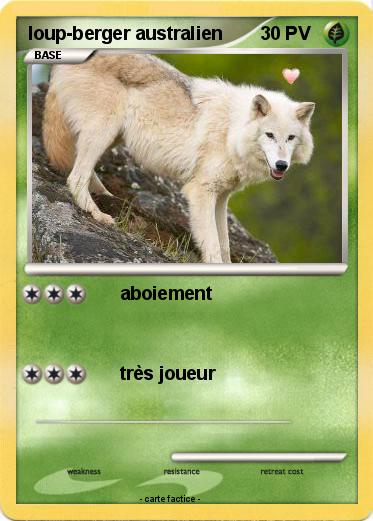Pokemon loup-berger australien