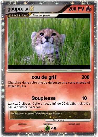Pokemon goupix