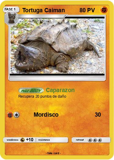 Pokemon Tortuga Caiman