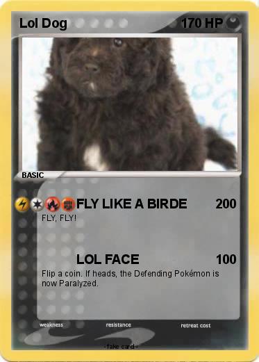 Pokemon Lol Dog