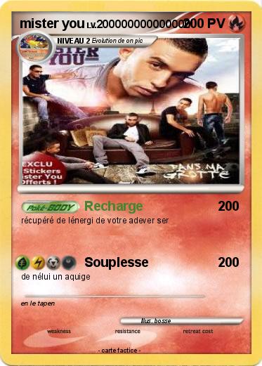 Pokemon mister you