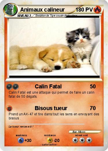 Pokemon Animaux calineur