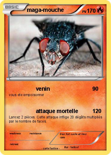 Pokemon maga-mouche