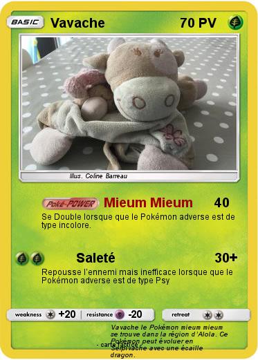 Pokemon Vavache