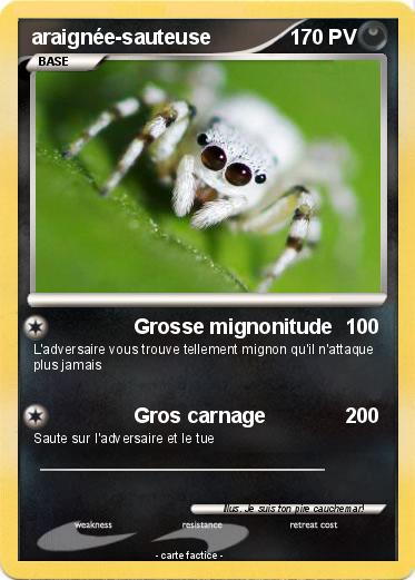 Pokemon araignée-sauteuse