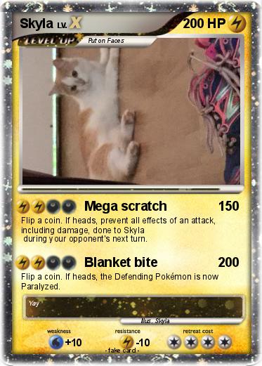 Pokemon Skyla