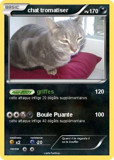 Pokemon chat tromatiser