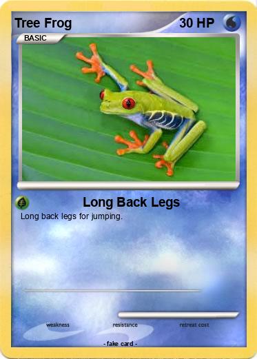 Pokemon Tree Frog