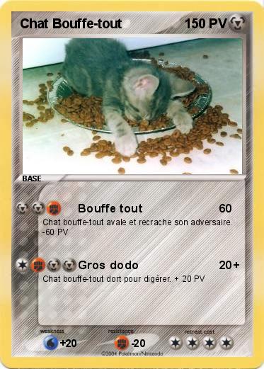 Pokemon Chat Bouffe-tout