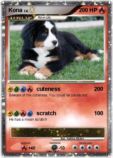 Pokemon Kona