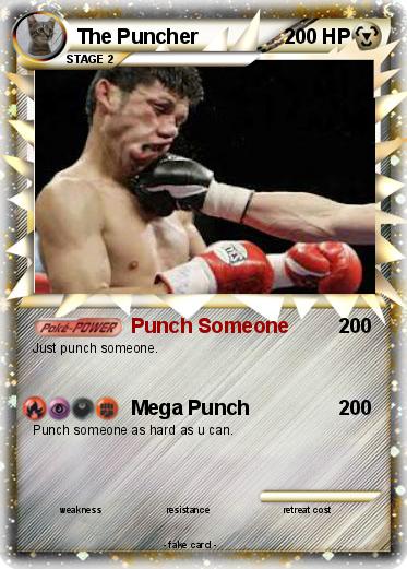 Pokemon The Puncher