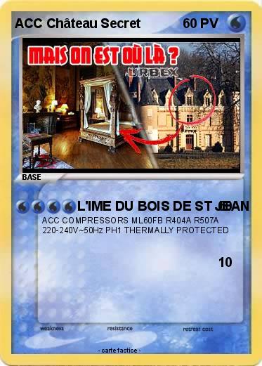 Pokemon ACC Château Secret