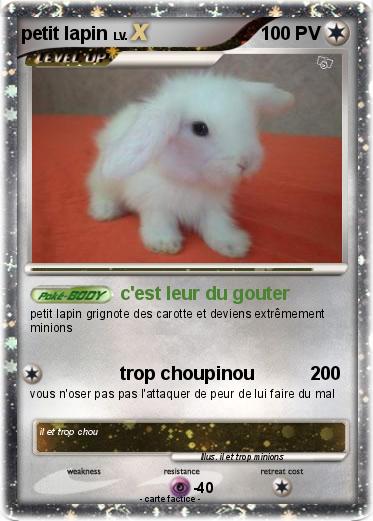 Pokemon petit lapin