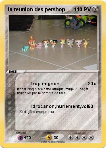 Pokemon la reunion des petshop
