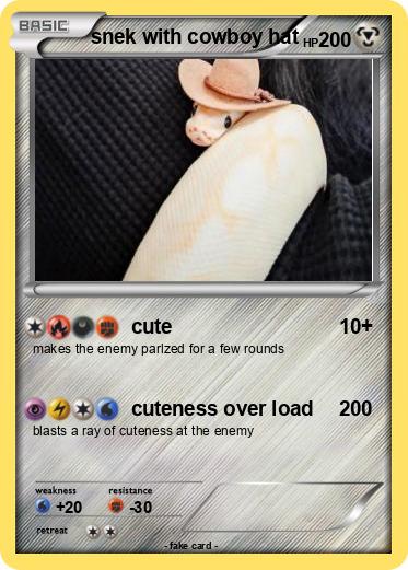 Pokemon snek with cowboy hat
