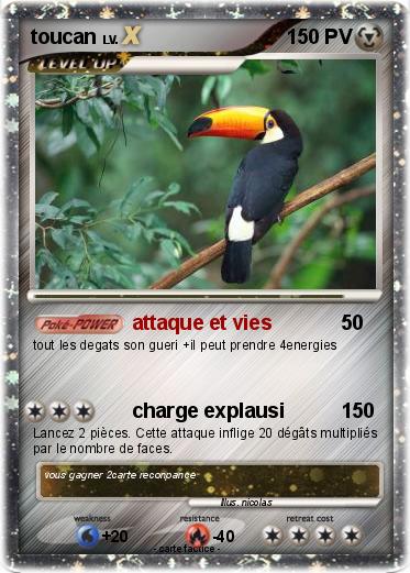 Pokemon toucan