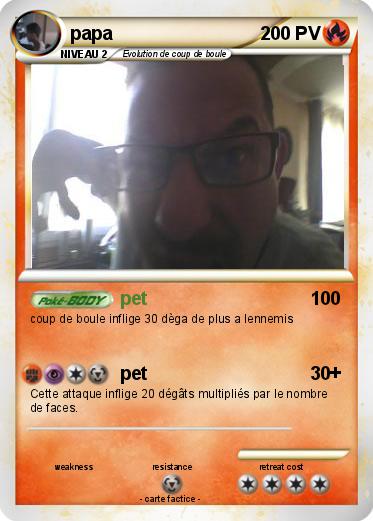 Pokemon papa