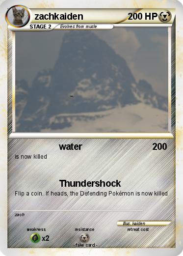 Pokemon zachkaiden