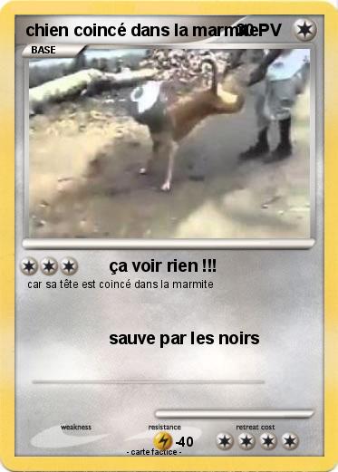 Pokemon chien coincé dans la marmite