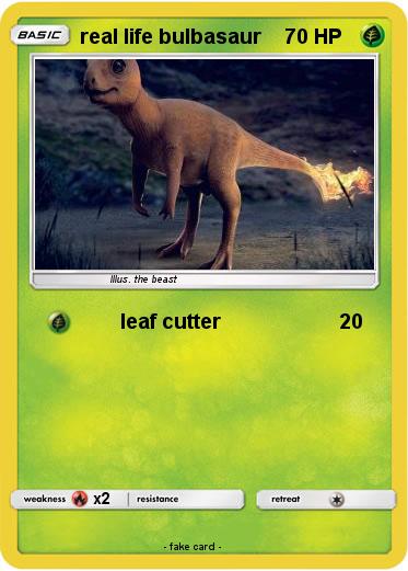 Pokemon real life bulbasaur