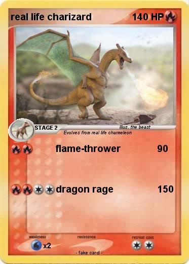Pokemon real life charizard