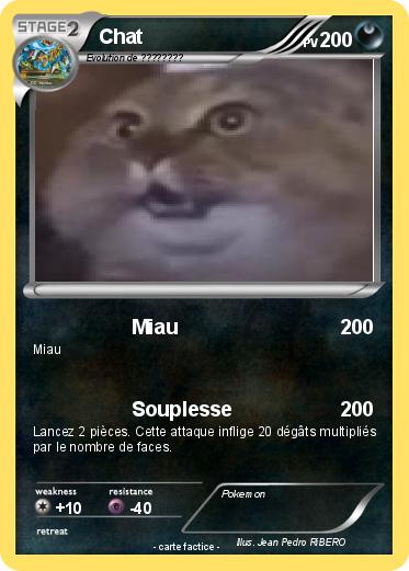 Pokemon Chat