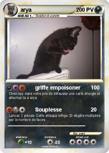 Pokemon arya