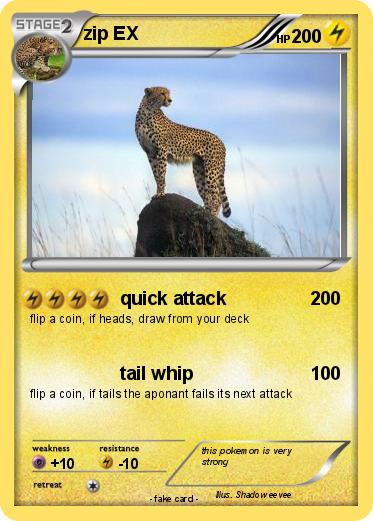 Pokemon zip EX