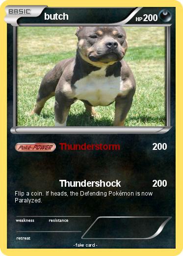 Pokemon butch