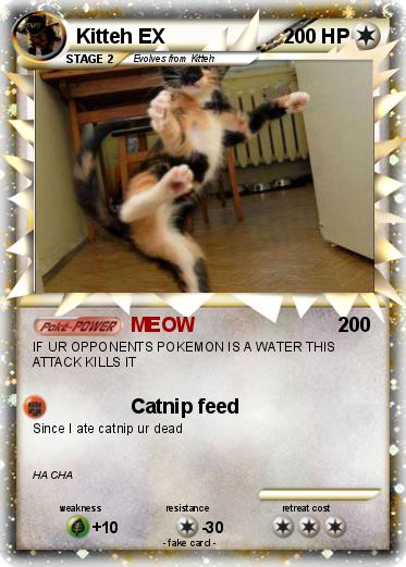Pokemon Kitteh EX