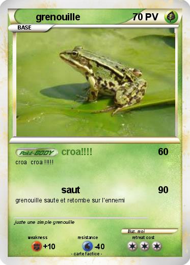 Pokemon grenouille