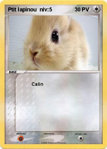 Pokemon Ptit lapinou  niv:5