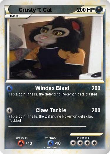 Pokemon Crusty T. Cat