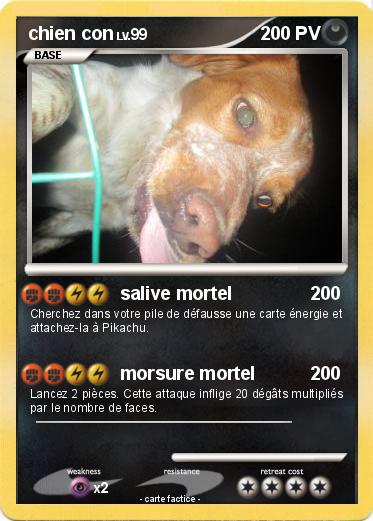 Pokemon chien con