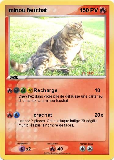 Pokemon minou feuchat