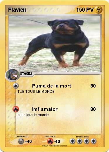 Pokemon Flavien