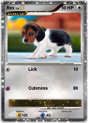 Pokemon Rex