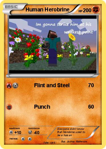 Pokemon Human Herobrine