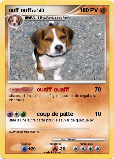 Pokemon ouff ouff