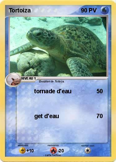 Pokemon Tortoiza