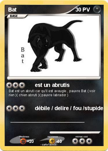 Pokemon Bat
