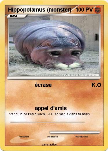 Pokemon Hippopotamus (monster)