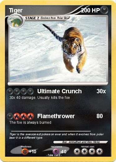 Pokemon Tiger