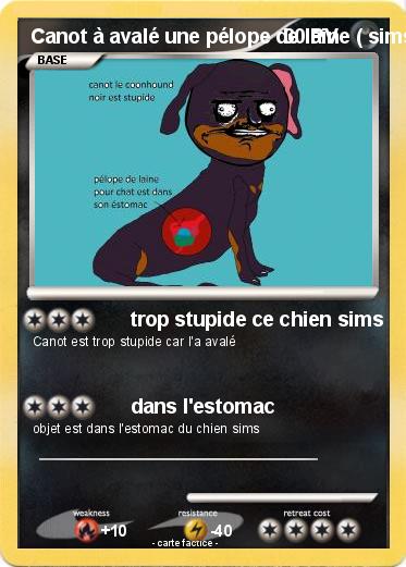 Pokemon Canot à avalé une pélope de laine ( sims 3 animaux & cie 3DS )