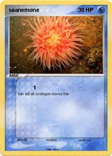 Pokemon søanemone