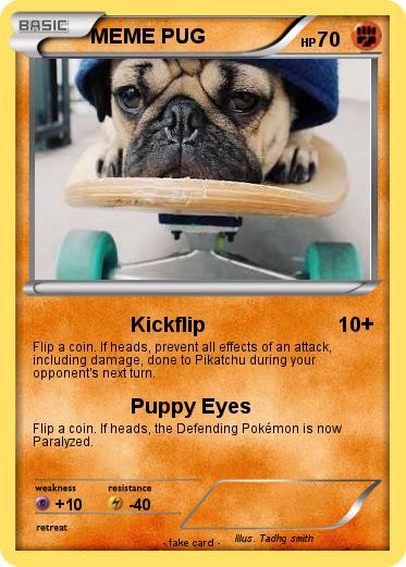 Pokemon MEME PUG