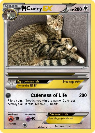 Pokemon Curry